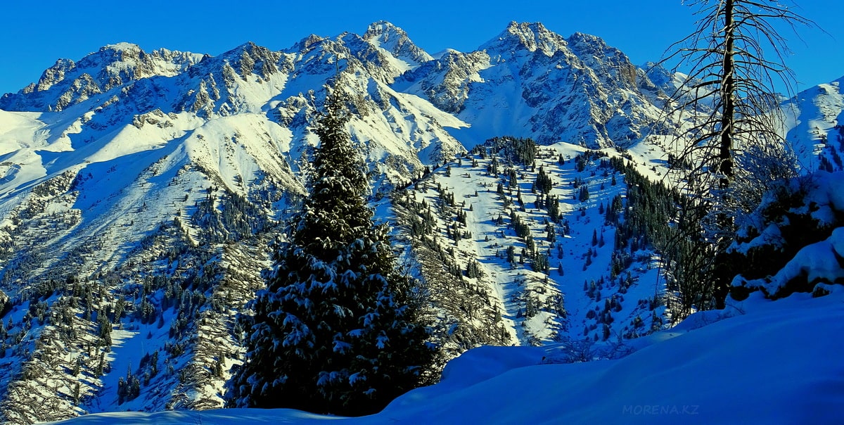 панорама горельника